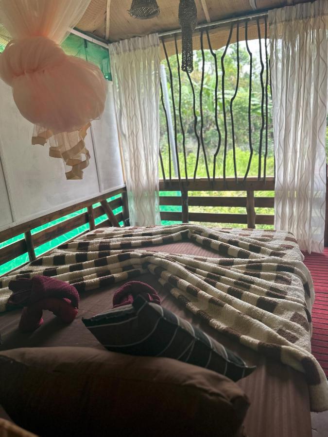 A Lounge Hostel And Cafe Ella Ngoại thất bức ảnh