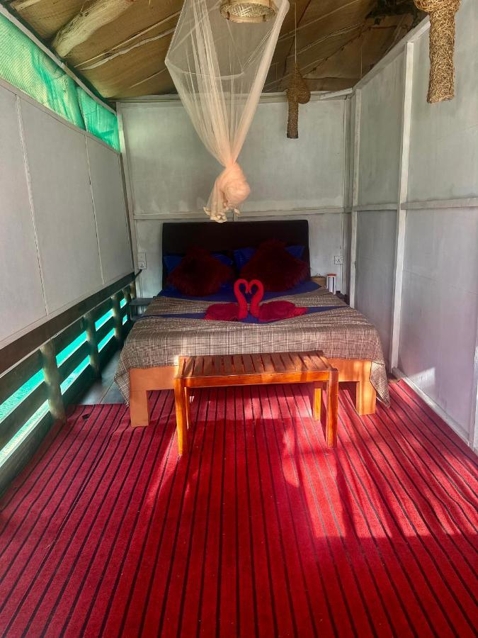 A Lounge Hostel And Cafe Ella Ngoại thất bức ảnh