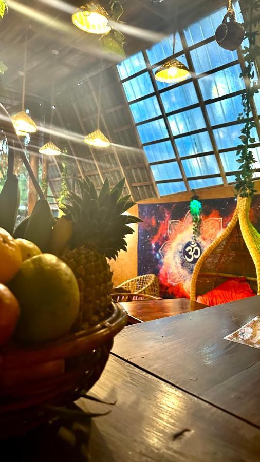A Lounge Hostel And Cafe Ella Ngoại thất bức ảnh