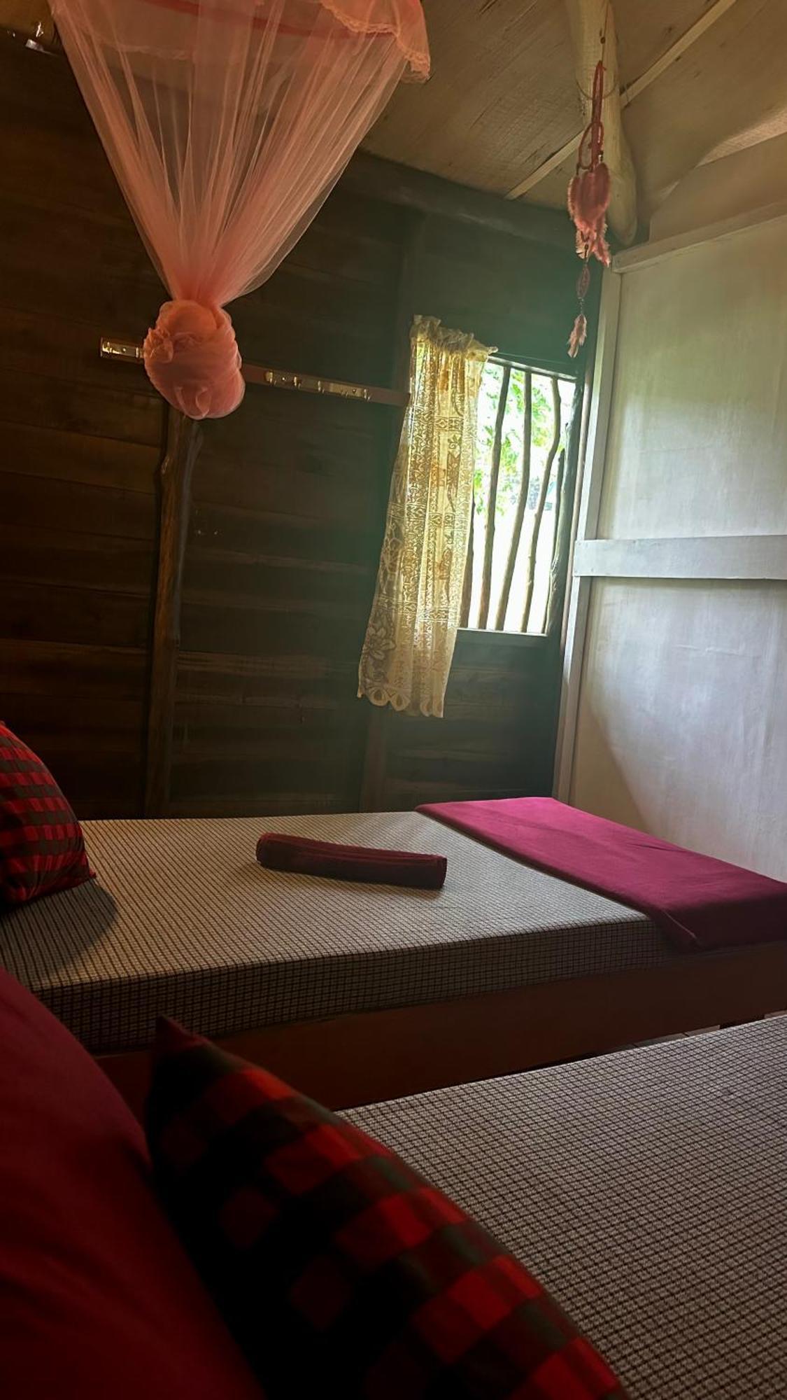 A Lounge Hostel And Cafe Ella Ngoại thất bức ảnh